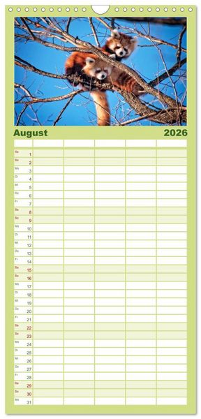 Produktbild: Familienplaner 2026 - Kleiner Panda mit 5 Spalten (Wandkalender, 21 x 45 cm) CALVENDO
