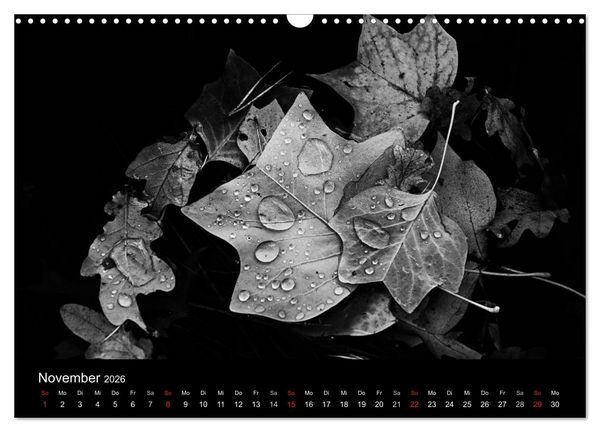 Produktbild: Das Licht in Schwarz und Wei&szlig; (Wandkalender 2026 DIN A3 quer), CALVENDO Monatskalender