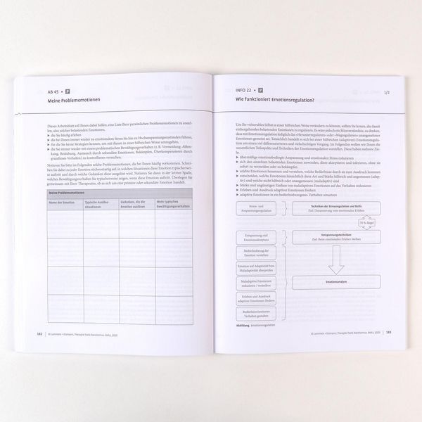 Produktbild: Therapie-Tools Narzissmus