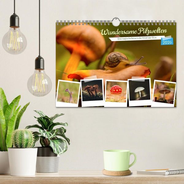 Produktbild: Wundersame Pilzwelten (Wandkalender 2026 DIN A4 quer), CALVENDO Monatskalender