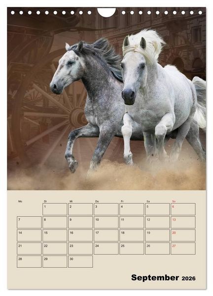 Produktbild: Pferdetr&auml;umereien - Traumbilder von Traumpferden (Wandkalender 2026 DIN A4 hoch), CALVENDO Monatskalender