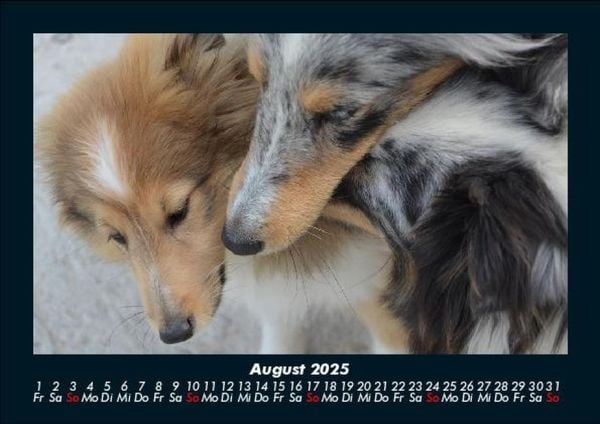 Produktbild: Hundezauber 2025 Fotokalender DIN A5