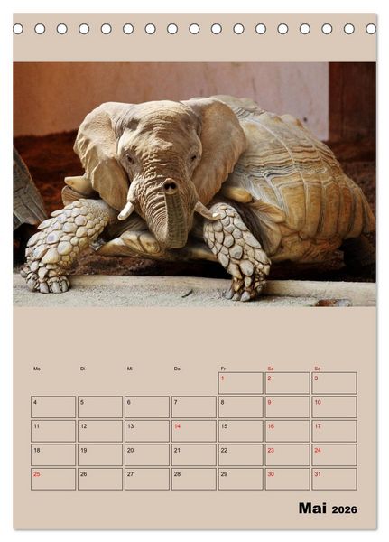 Produktbild: Seltsame Tiere - da stimmt doch was nicht... (Tischkalender 2026 DIN A5 hoch), CALVENDO Monatskalender