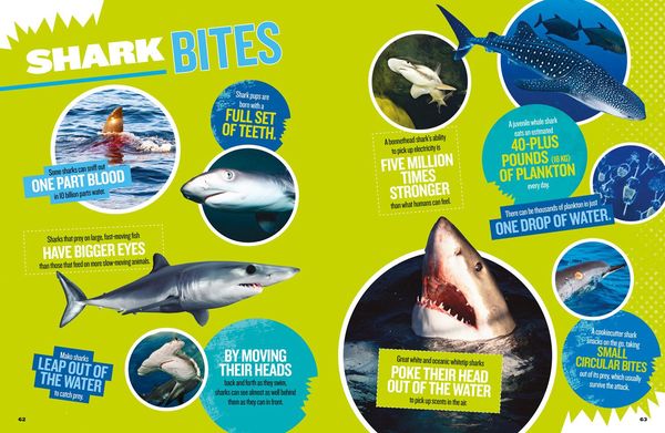 Produktbild: The Ultimate Book of Sharks