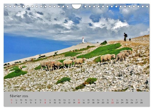 Produktbild: Le Mont Ventoux Le g&eacute;ant de Provence (Calendrier mural 2026 DIN A4 vertical), CALVENDO calendrier mensuel