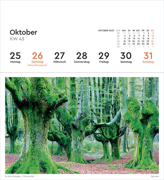 Produktbild: Alte B&auml;ume - KUNTH Postkartenkalender 2027