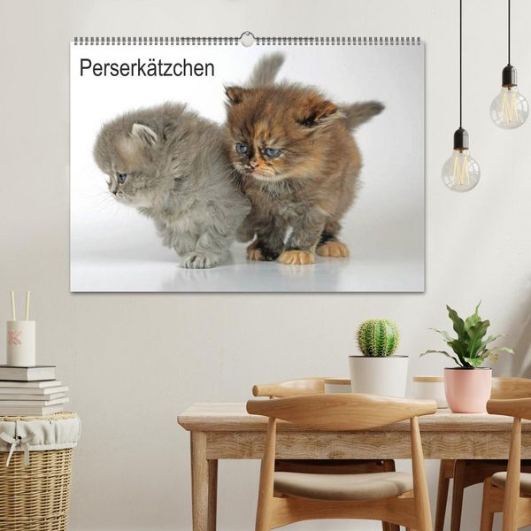 Produktbild: Perserk&auml;tzchen (Wandkalender 2026 DIN A2 quer), CALVENDO Monatskalender