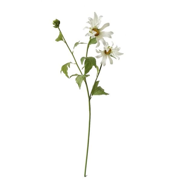 Produktbild: HTI-Living Chrysantheme 74 cm Weiss Chrysantheme 74 cm Weiss