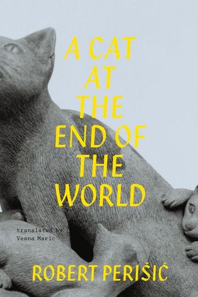 Produktbild: A Cat At the End of the World