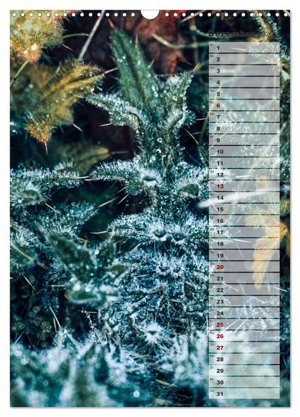 Produktbild: Kalender - Natur im Detail (Wandkalender 2026 DIN A3 hoch), CALVENDO Monatskalender