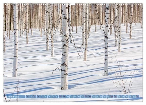 Produktbild: Wildes Finnland (hochwertiger Premium Wandkalender 2026 DIN A2 quer), Kunstdruck in Hochglanz