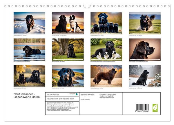 Produktbild: Neufundl&auml;nder - Liebenswerte B&auml;ren (Wandkalender 2026 DIN A3 quer), CALVENDO Monatskalender