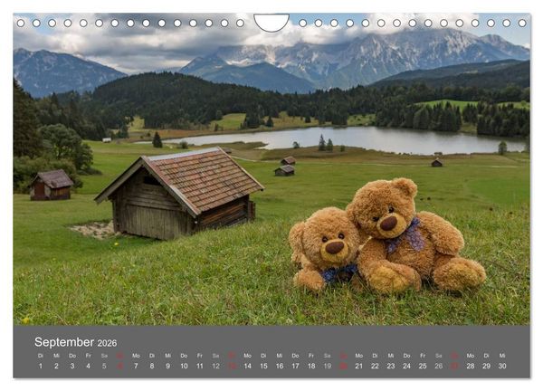 Produktbild: Travelling Teddy 2026 (Wandkalender 2026 DIN A4 quer), CALVENDO Monatskalender