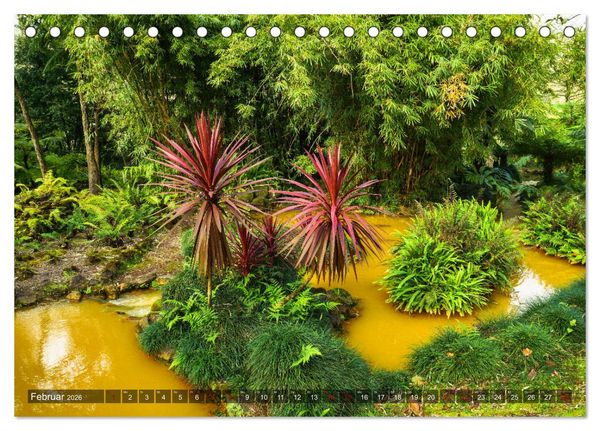 Produktbild: Terra Nostra Garten - ein botanisches Juwel auf den Azoren (Tischkalender 2026 DIN A5 quer), CALVENDO Monatskalender