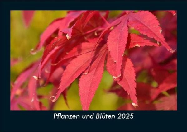 Produktbild: Pflanzen und Bl&uuml;ten 2025 Fotokalender DIN A5