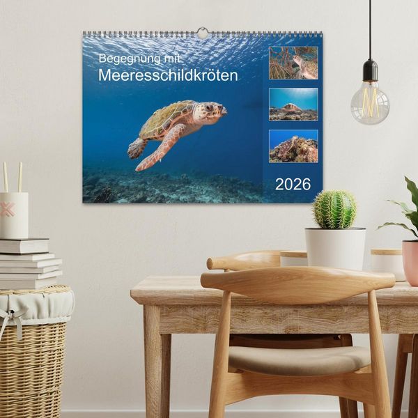 Produktbild: Begegnung mit Meeresschildkr&ouml;ten (Wandkalender 2026 DIN A3 quer), CALVENDO Monatskalender