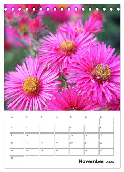 Produktbild: BL&Uuml;TENZAUBER (Tischkalender 2026 DIN A5 hoch), CALVENDO Monatskalender