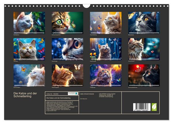Produktbild: Die Katze und der Schmetterling (Wandkalender 2026 DIN A3 quer), CALVENDO Monatskalender