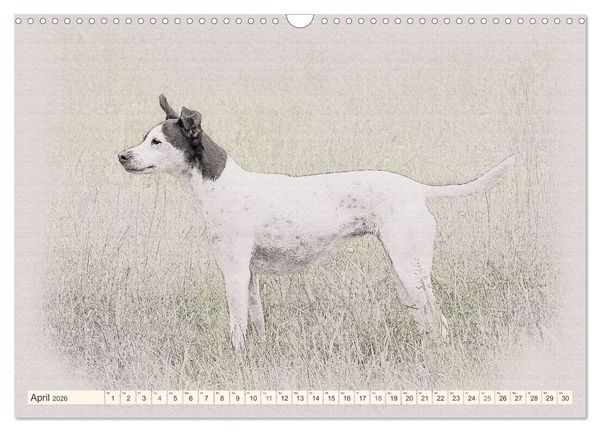 Produktbild: Bodeguero Andaluz 2026 (Wandkalender 2026 DIN A3 quer), CALVENDO Monatskalender