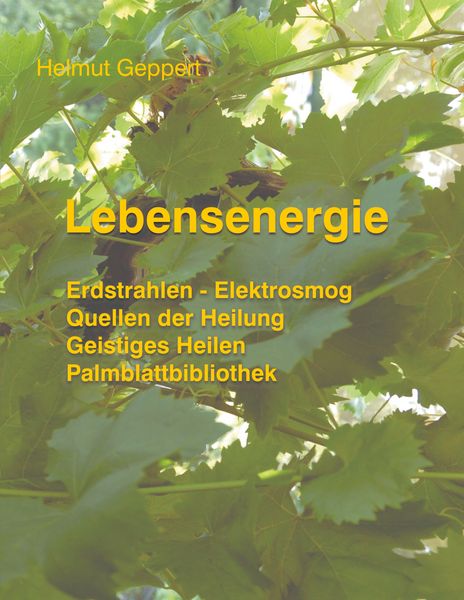 Produktbild: Lebensenergie