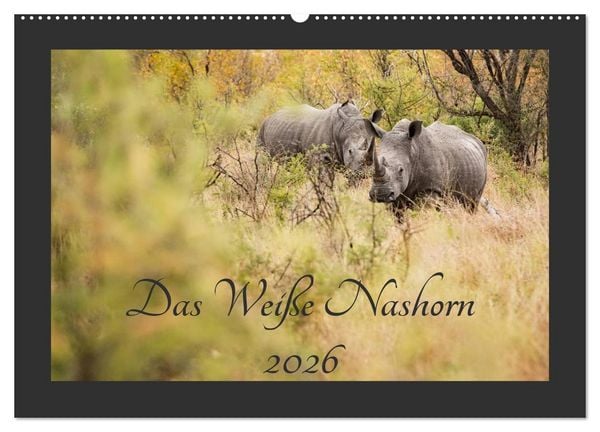 Produktbild: Das Wei&szlig;e Nashorn (Wandkalender 2026 DIN A2 quer), CALVENDO Monatskalender
