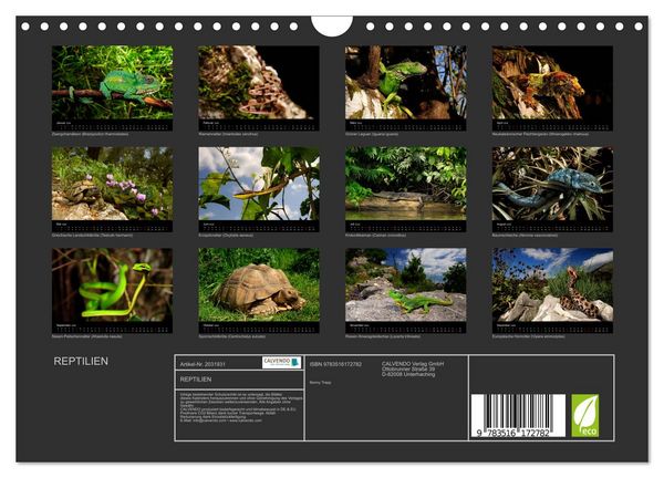 Produktbild: REPTILIEN (Wandkalender 2026 DIN A4 quer), CALVENDO Monatskalender