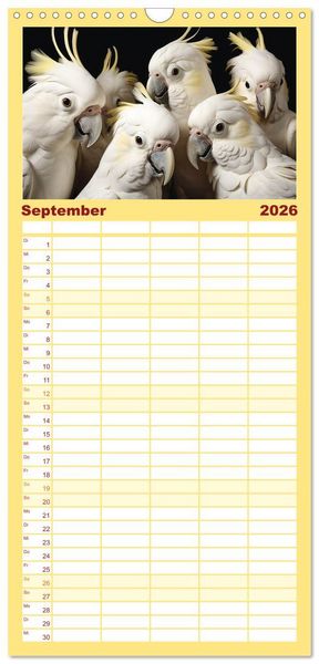Produktbild: Familienplaner 2026 - Die Magie der Masse mit 5 Spalten (Wandkalender, 21 x 45 cm) CALVENDO