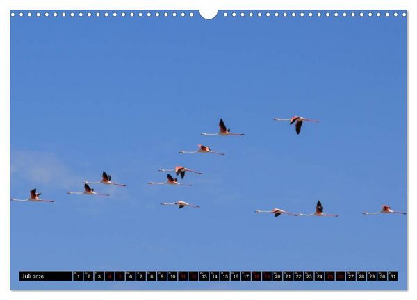 Produktbild: Faszination Sardinien (Wandkalender 2026 DIN A3 quer), CALVENDO Monatskalender