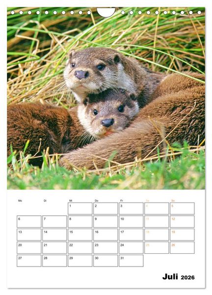 Produktbild: Wilde Tiere: Zuhause in Wald und Flur (Wandkalender 2026 DIN A4 hoch), CALVENDO Monatskalender