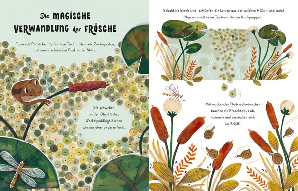 Produktbild: Kleine und gro&szlig;e Wunder der Natur