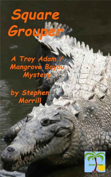 Produktbild: Square Grouper (Troy Adam / Mangrove Bayou, #5)