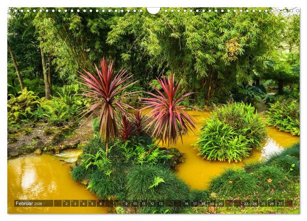 Produktbild: Terra Nostra Garten - ein botanisches Juwel auf den Azoren (Wandkalender 2026 DIN A3 quer), CALVENDO Monatskalender