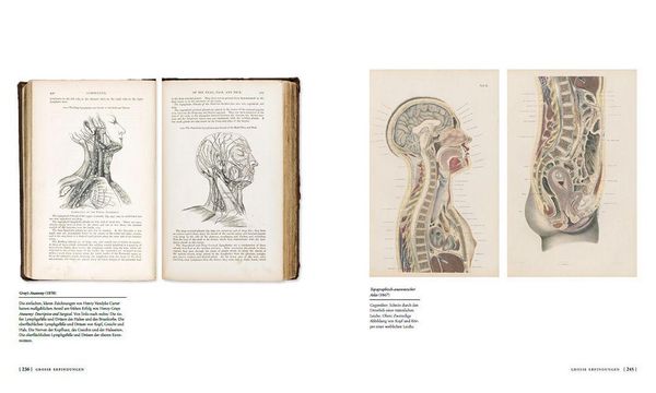 Produktbild: Die Geschichte der Anatomie