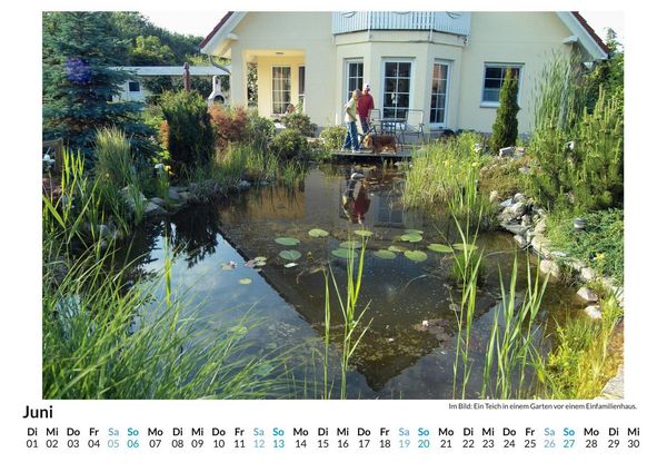 Produktbild: Gartenteiche
