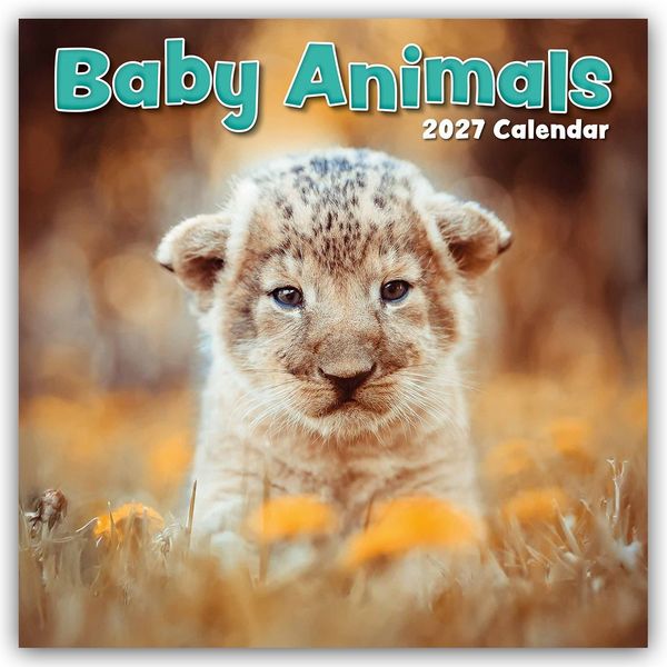 Produktbild: Baby Animals &ndash; Tierkinder 2027 &ndash; 16-Monatskalender