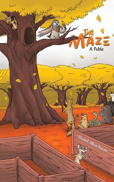 Produktbild: The Maze
