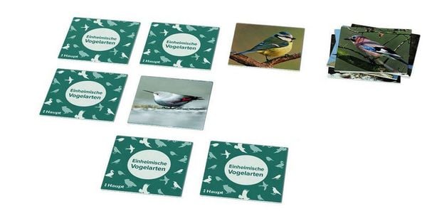 Produktbild: Einheimische Vogelarten &ndash; das Memo-Spiel