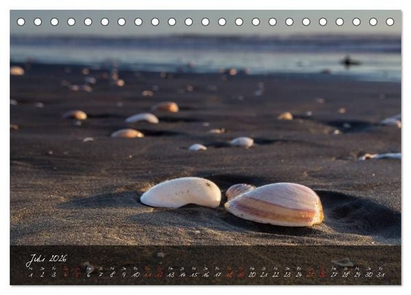 Produktbild: Neuseeland - Land der Maori (Tischkalender 2026 DIN A5 quer), CALVENDO Monatskalender