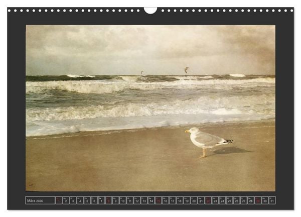 Produktbild: Malerisches Sylt (Wandkalender 2026 DIN A3 quer), CALVENDO Monatskalender