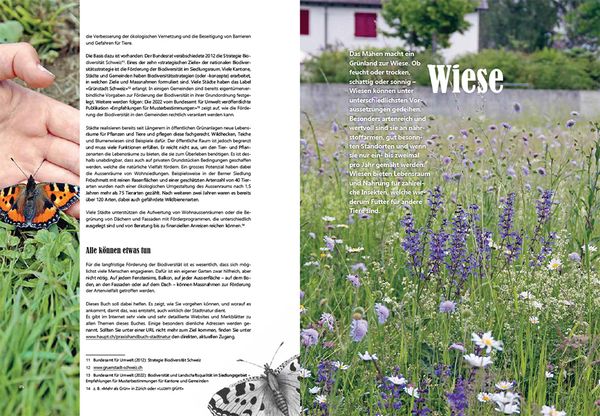 Produktbild: Praxishandbuch Stadtnatur