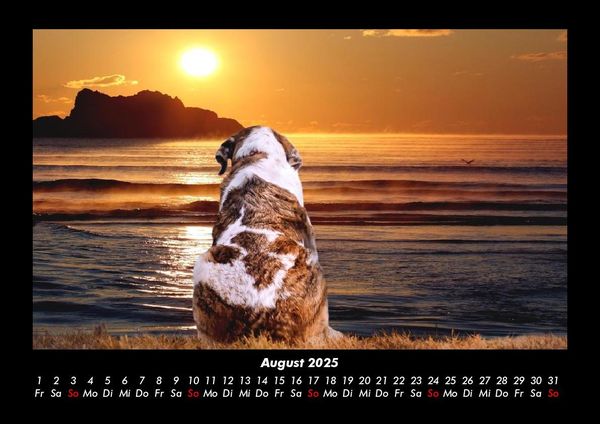 Produktbild: Sonnenunterg&auml;nge 2025 Fotokalender DIN A3