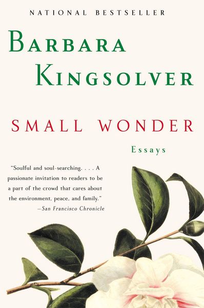 Produktbild: Small Wonder