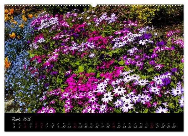 Produktbild: Butchart Gardens 2026 (hochwertiger Premium Wandkalender 2026 DIN A2 quer), Kunstdruck in Hochglanz