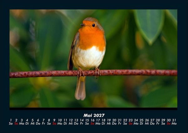 Produktbild: Welt der V&ouml;gel 2027 Fotokalender DIN A4