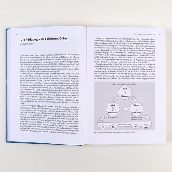 Produktbild: Handbuch Traumap&auml;dagogik