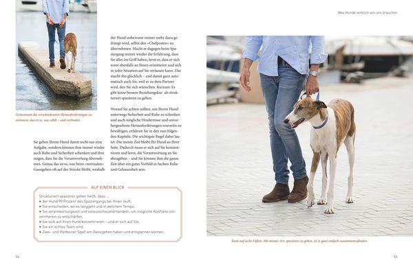 Die José-Arce-Methode: Liebe Deinen Hund. Wie Sie beim Gassigehen die Beziehung stärken