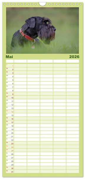 Produktbild: Familienplaner 2026 - Schnauzer... von Zwergen und Riesen 2026 mit 5 Spalten (Wandkalender, 21 x 45 cm) CALVENDO