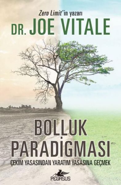 Produktbild: Bolluk Paradigmasi