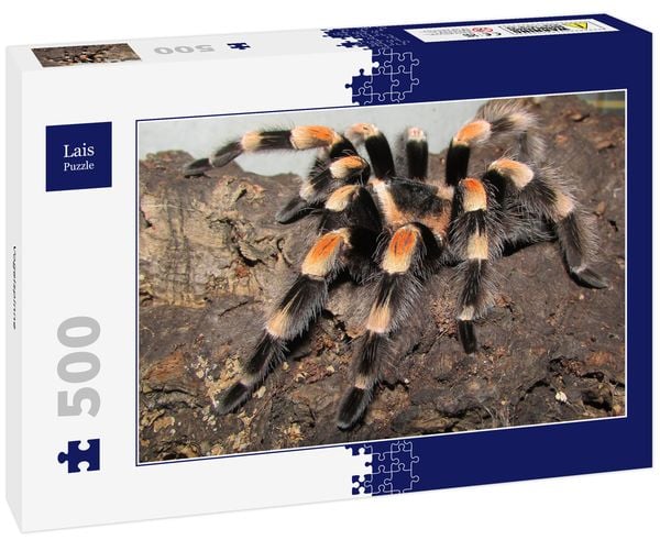 Lais Puzzle Vogelspinne 500 Teile