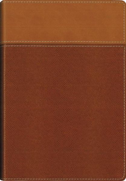 Produktbild: Niv Thinline Bible Imit Tan Rl